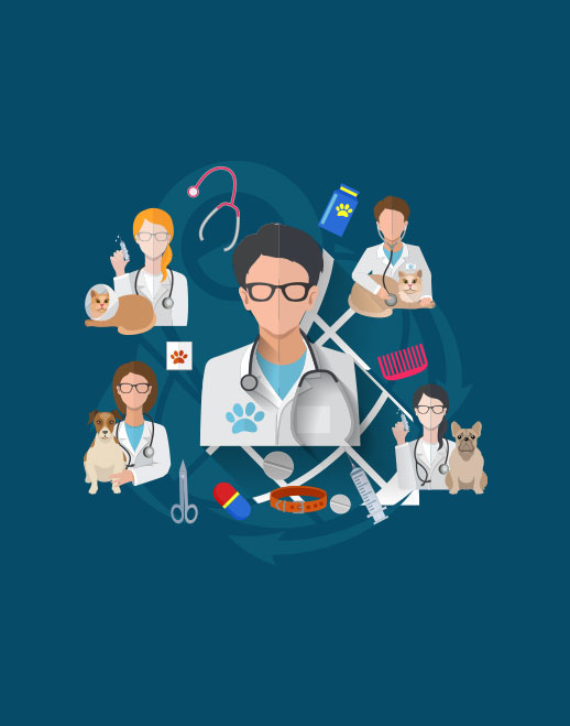 Contabilidade para Pet Shop em Salvador - BA - Contabilidade para Pet Shop em Salvador – BA | Confacilidade