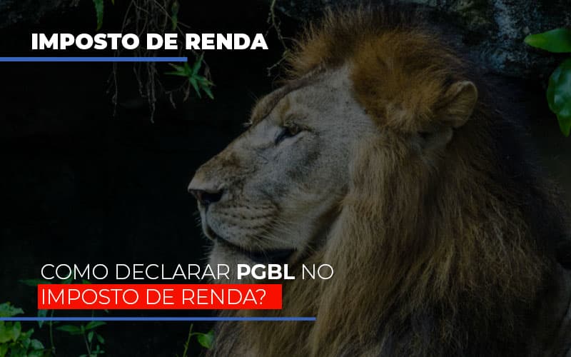 ir2020:como-declarar-pgbl-no-imposto-de-renda - IR2020: Como declarar PGBL no Imposto de Renda? ir2020:como-declarar-pgbl-no-imposto-de-renda - IR2020: Como declarar PGBL no Imposto de Renda?